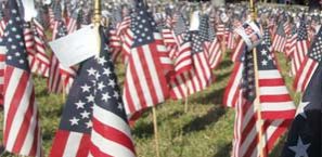 A sea of American flags planted on lawn