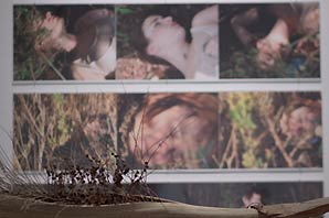 A series of photos of women and girls lying in the wood on display, accent with real tree branches as decor.