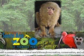 imageR_SA-Zoo