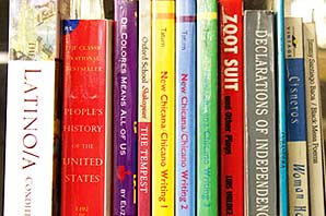 A vertical stock of books on subjects such as LATINO/A, Zoot suit, Declaration of Independence, People History of the United States, etc.