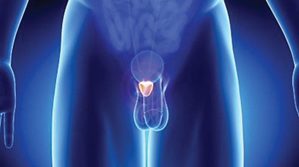 stock-footage-male-anatomy-of-prostate-organs-in-x-ray-view-in-blue-orange-x-ray-view