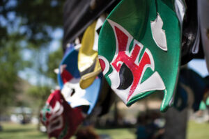 LUCHA-MASKS