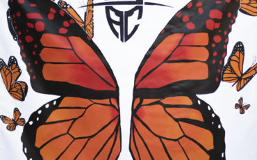 butterfly-mural-full