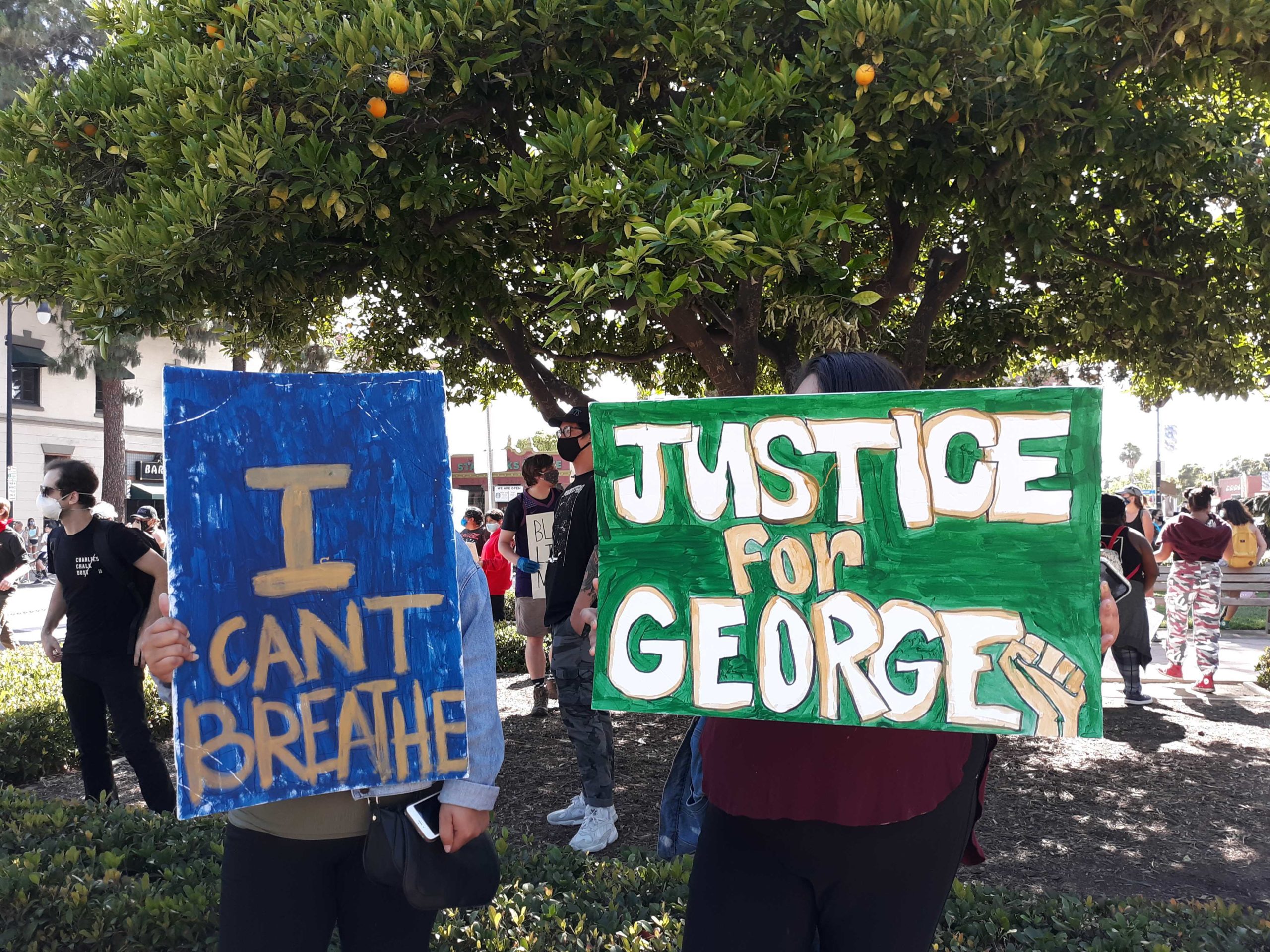 Orange protest2