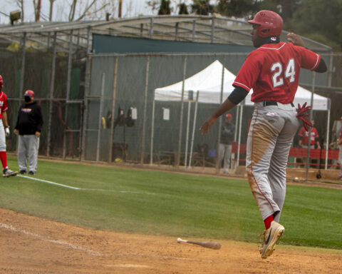 dons vs hornets baseball