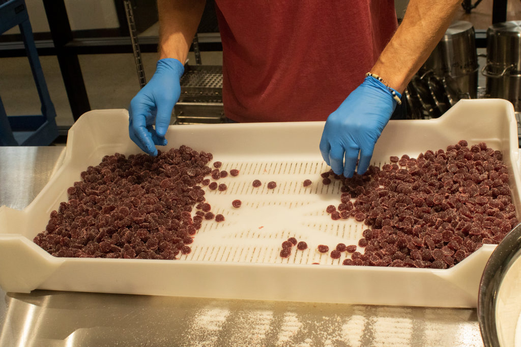 Person sorting cannabis gummies