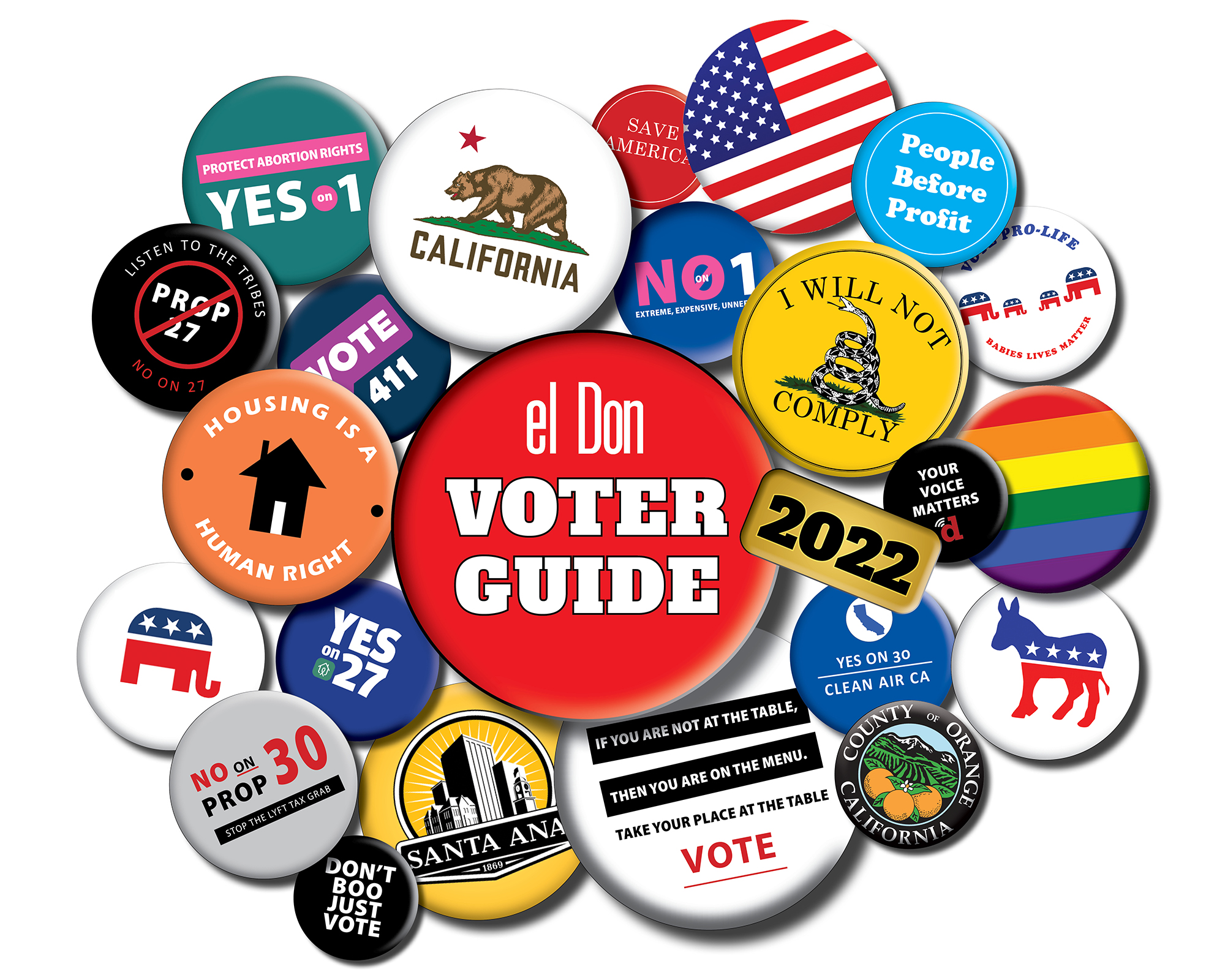 el Don General Election voter guide