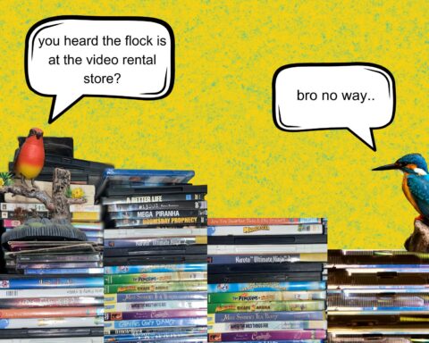 bring back video rentals graphic