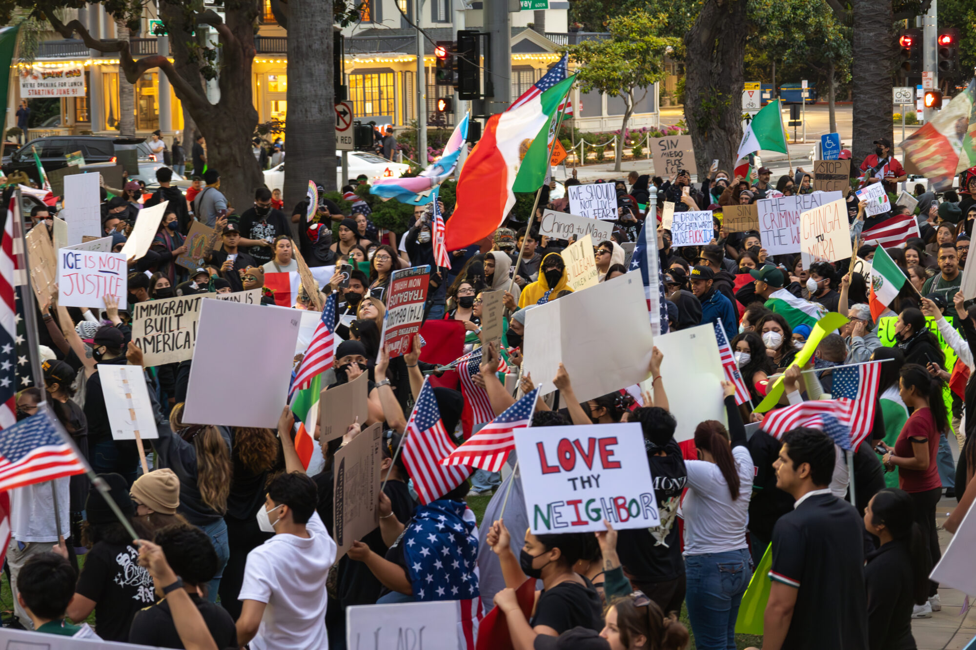 A crowd protesters with signs and flags